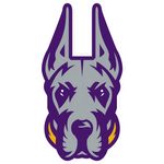 albany-great-danes