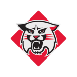 davidson-wildcats